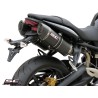 Uitlaatdempers Oval titanium Triumph Street Triple 675-R (07-12)