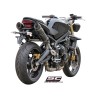 Uitlaatdempers GP-Tech carbon Triumph Street Triple 675-R (07-12)