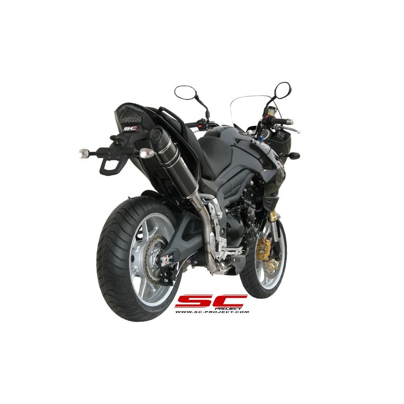 Uitlaatdemper Oval high carbon Triumph Tiger 1050 (07-12)