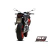 Full System RVS 2-1 CR-T carbon Aprilia RS660/Tuono